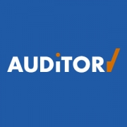 Auditor
