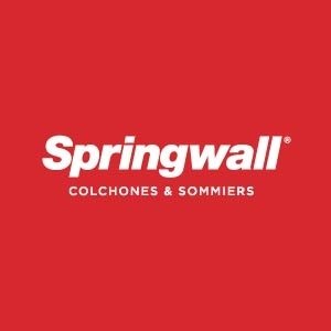 Springwall CyberMonday