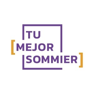 TU MEJOR SOMMIER CyberMonday