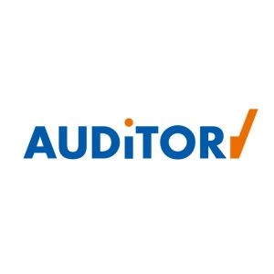 Auditor CyberMonday