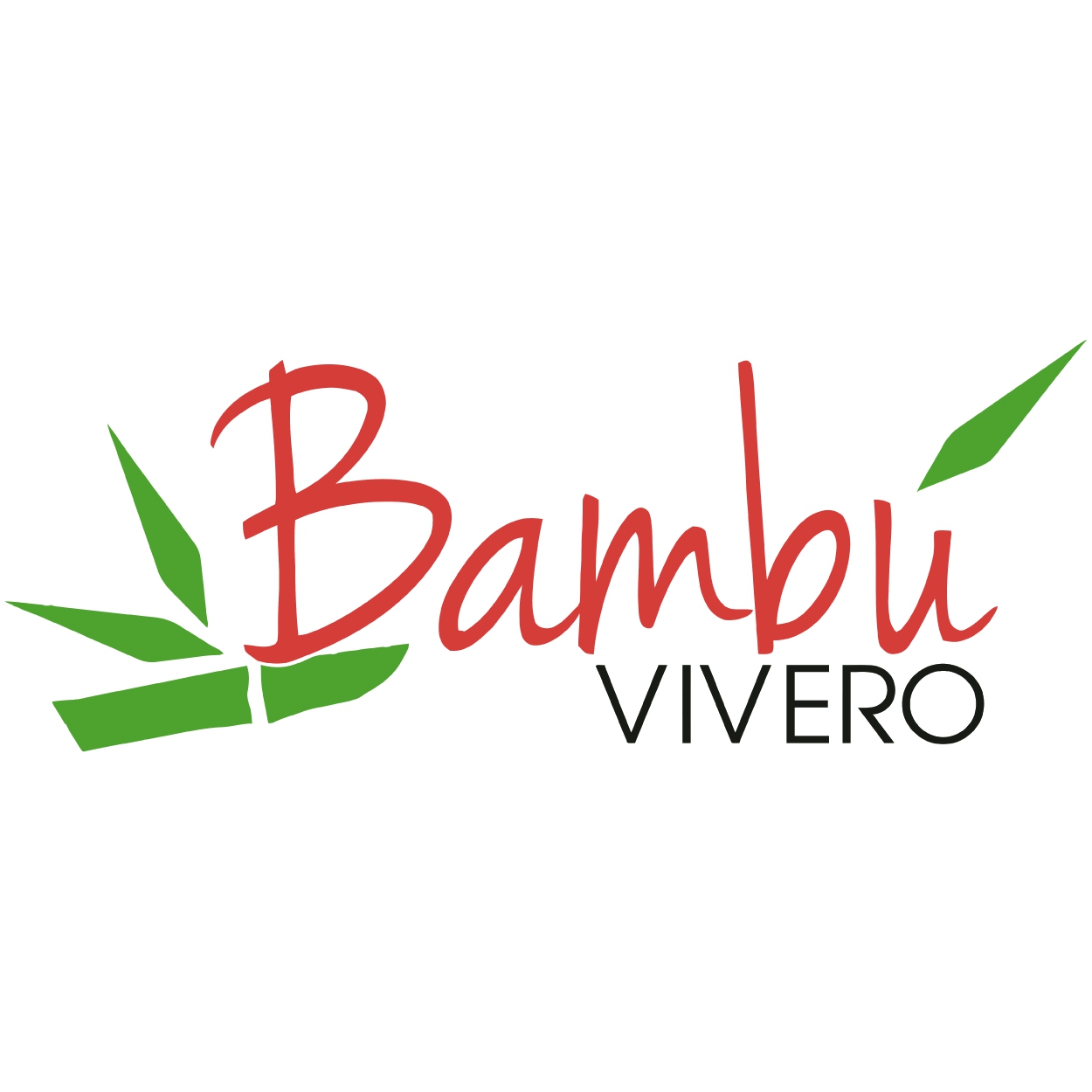 Vivero el Bambu