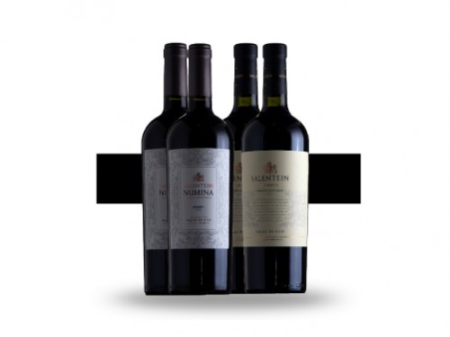 Set Degustación Bodega Salentein 4 Botellas 750ml Vino Tinto