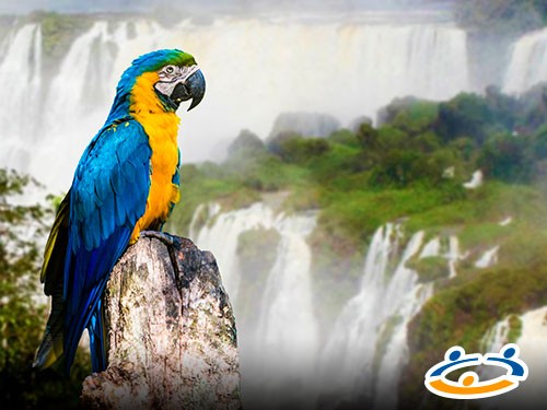 Paquete a Iguazú con vuelos, traslados, alojamiento y más