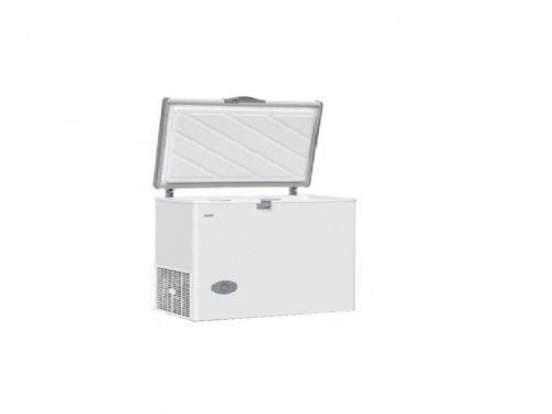 FREEZER FH-3300BPa R600 DUAL 290 LTS BAMBI