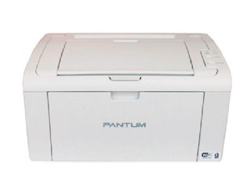 Impresora Pantum Laser Monocromática P2509W White
