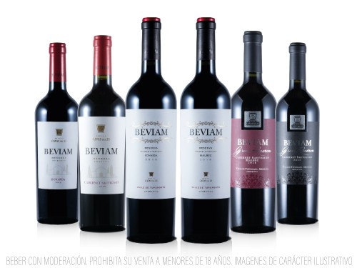 Box 1 - Caja x6 Vinos Premium - Bodegas de Mendoza