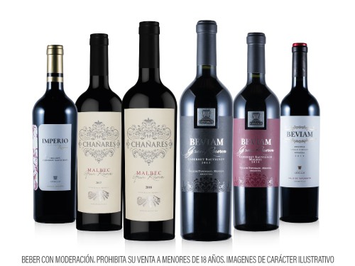 Box 3 - Caja x6 Vinos Premium - Bodegas de Mendoza -
