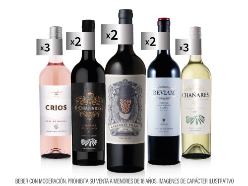 Box 6 - Caja x12 Vinos Premium - Bodegas de Mendoza -