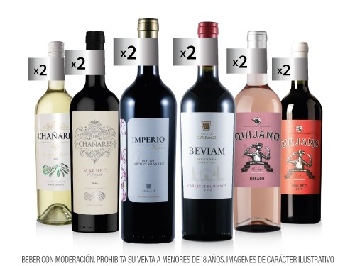 Box 8 - Caja x12 Vinos Premium - Bodegas de Mendoza