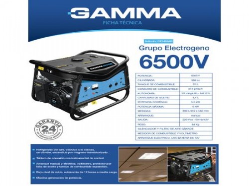 Generador Gamma GE3466AR 6000W 220V