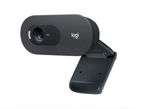 Webcam Camara Logitech C505 Hd 720 Cable Usb 2mts Pc