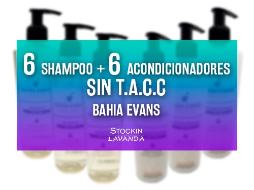 6 Shampoo + 6 Acondicionadores x 250 gr. SIN TACC - BAHIA EVANS