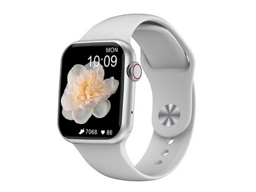 Smartwatch DT100+ (Silver)