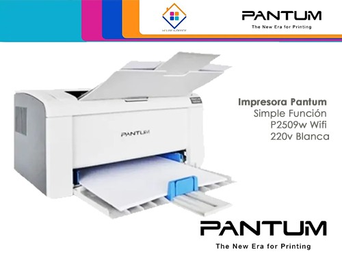 Impresora Simple Función P2509w Wifi 220v Blanca Pantum