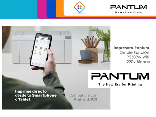 Impresora Simple Función P2509w Wifi 220v Blanca Pantum