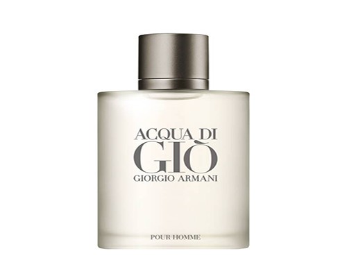 Perfume Armani Acqua di Gio EDT Pour Homme 100 ml
