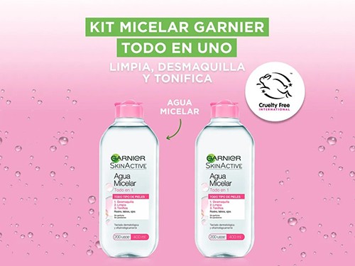Kit Agua Micelar Garnier Todo En 1 - Limpieza Facial X 2