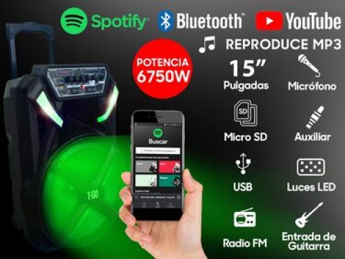 Parlante Portátil Grande 15 pulgadas Bluetooth  6750wts FM + Micrófono