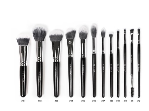 Set completo de 12 brochas para maquillaje profesional REGINA