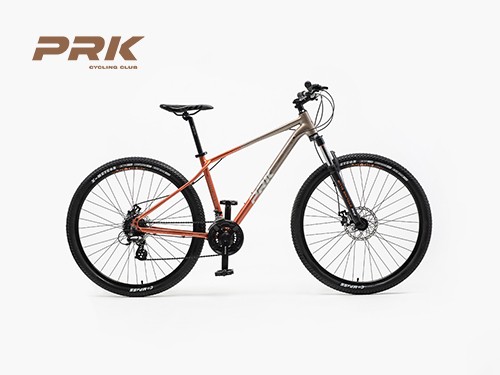 Mountain Bike PRK Andromeda 24V R29