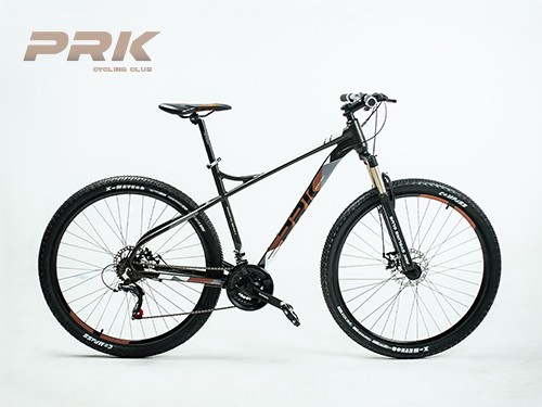 Mountain Bike PRK Instinct 21V R29