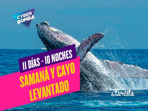 Samaná mas avistaje de ballenas y Cayo Levantado