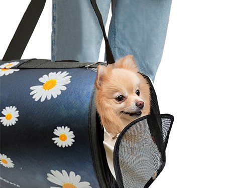 Bolso Transportador Chico Perro Gato Mascota Viaje Paseo Varios Diseño