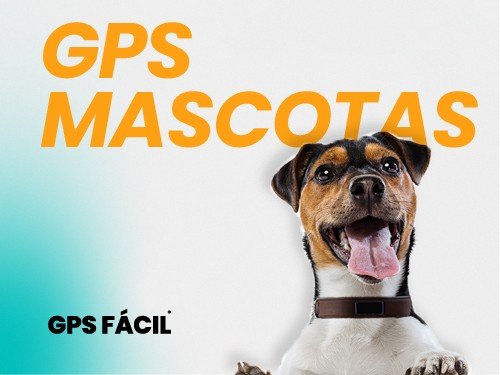 GPS PARA MASCOTAS CON COLLAR / CARGADOR / NO PIERDAS A TU MASCOTA!