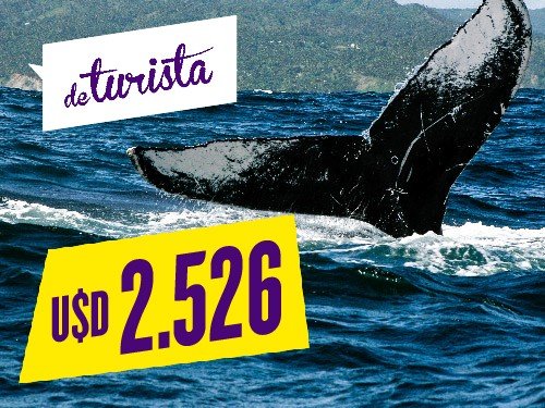 Descubrí Samaná por 8 a 10 días con All inclusive