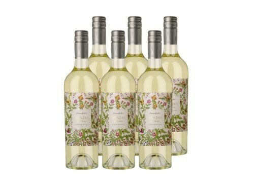 Vino Blanco Osadía de Crear Torrontés 2023 - 6x750ml