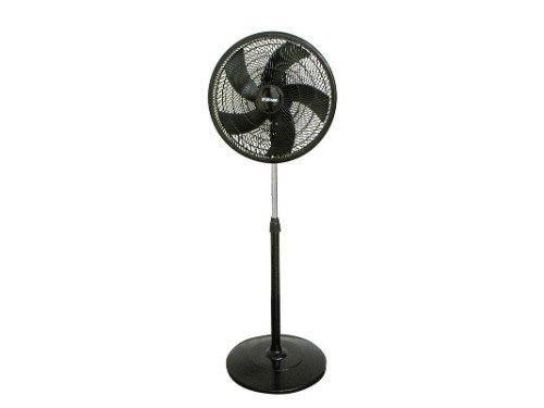 Ventilador Liliana de Pie 16"