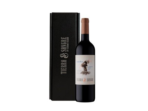 Vino Cabernet Franc - Bodega Tierra y Sangre con estuche x 1 unidad