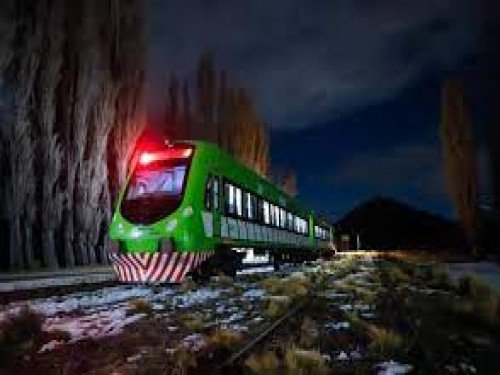 Tren Patagónico Excursión