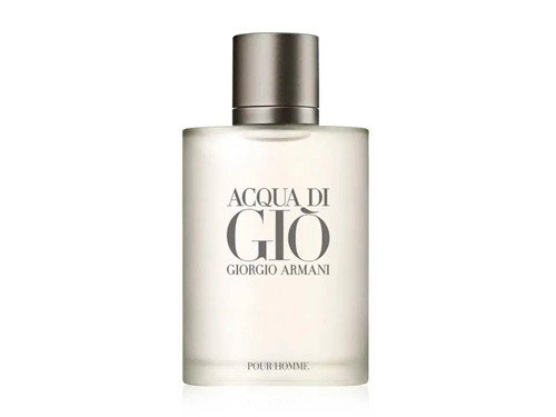 Acqua Di Gio Homme EDT 100ml