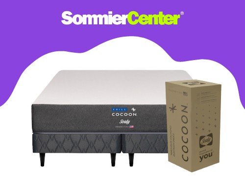 Sommier y Colchón en Caja King Espuma Sealy Chill Box (200x200)