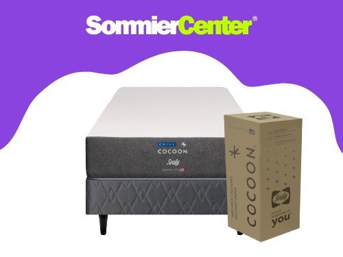 Sommier y Colchón en Caja 1 Plaza Espuma Sealy Chill Box (080x190)