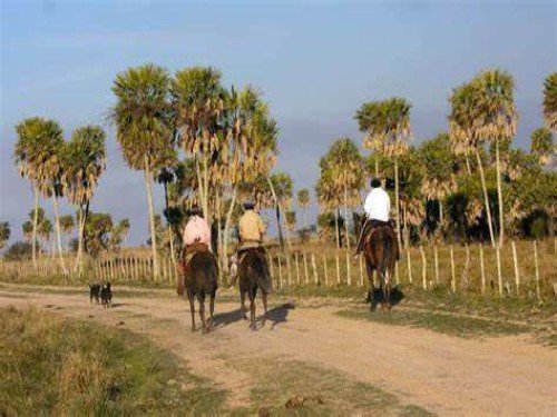 Esteros del Ibera Estadía + 2 Excursiones