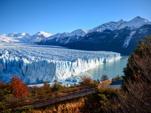 Calafate - Paquete Full