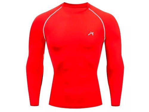 REMERA TERMICA MICROFIBRA DRY FIT ALPINA MANGA RANGLA