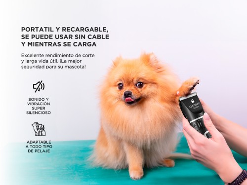 Máquina De Cortar Pelo Para Perros Gadnic S500 Regulable Portátil Y Re