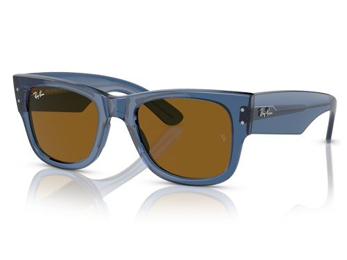 Anteojos de sol Ray-Ban Mega Wayfarer RB0840S, BLU SHN, BRN