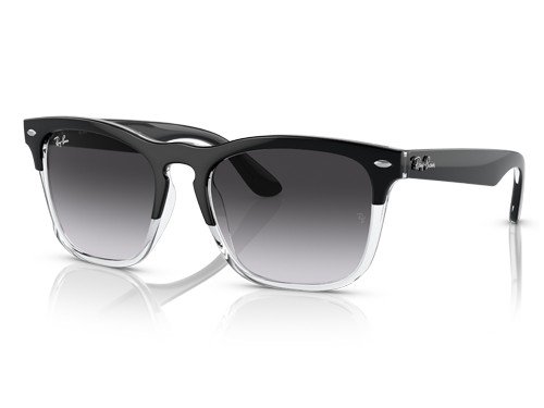 Anteojos de sol Ray-Ban Steve RB4487, BLK SHN, BLU G