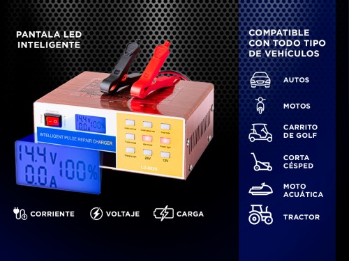 Cargador De Batería Para Auto Gadnic AV300 Mantenedor 12v - 24v Corte