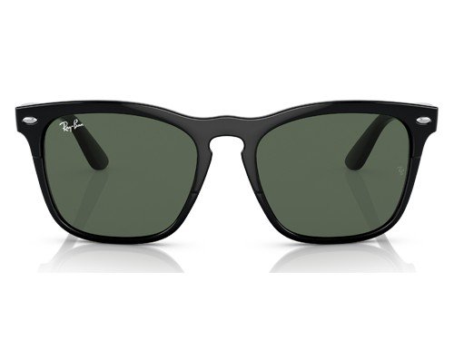 Anteojos de sol Ray-Ban Steve RB4487 , BLK SHN, GRN