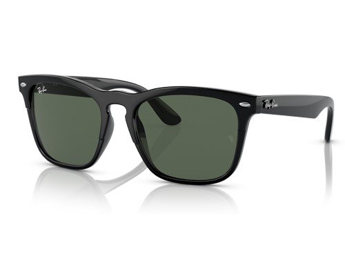 Anteojos de sol Ray-Ban Steve RB4487 , BLK SHN, GRN