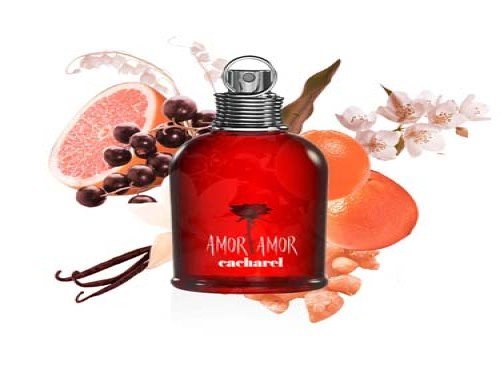 AMOR AMOR EDT 100ML