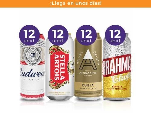 Pack: 48 Cervezas Clasicas Variedades 473ml