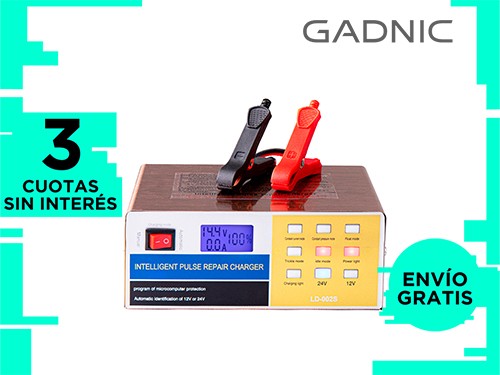 Cargador De Batería Para Auto Gadnic AV300 Mantenedor 12v - 24v Corte