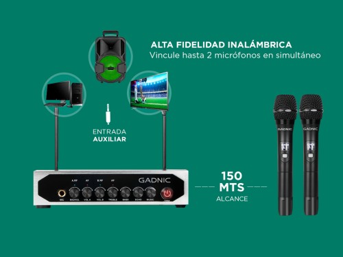 Micrófono Inalambrico Profesional Gadnic BT308 UHF