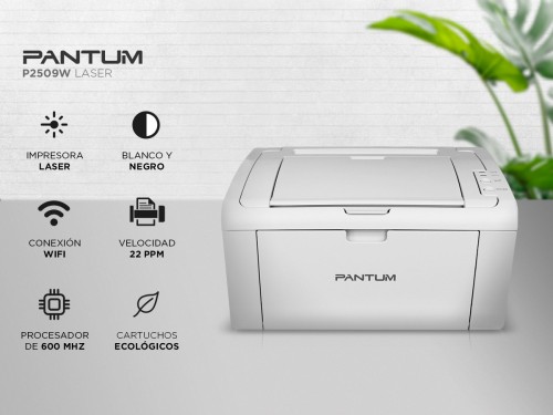 Impresora Pantum 2509W WIFI Laser Monocromatica